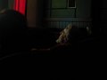 IMG_1936
