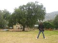 IMG_2883