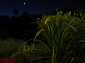 IMG_3122