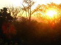 IMG_2170