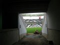 IMG_0814