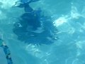 CIMG_1670